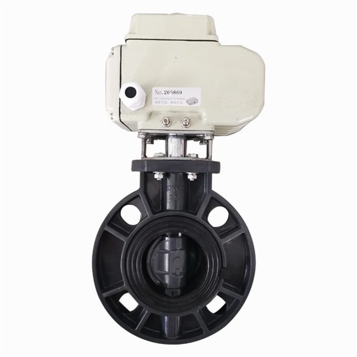 DN65 UPVC Plastic Wafer Butterfly Valve
